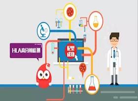 HLA高分辨配型项目(公益收费)